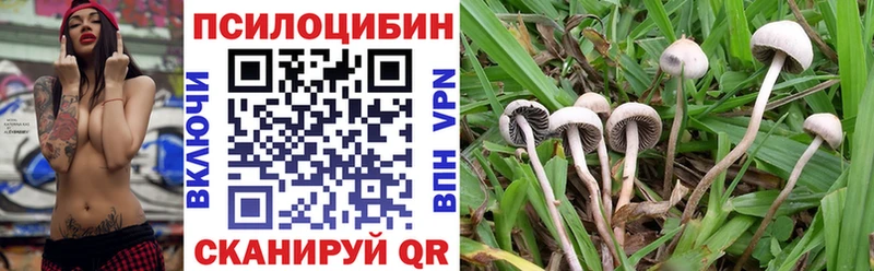 Галлюциногенные грибы прущие грибы  где купить наркоту  Малаховка 